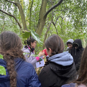 Christine et élèves au bois