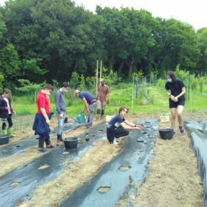 La fabrique du potager