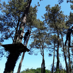Sortie accrobranche juin 2018