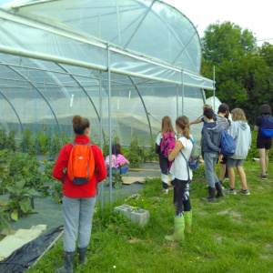 La fabrique du potager